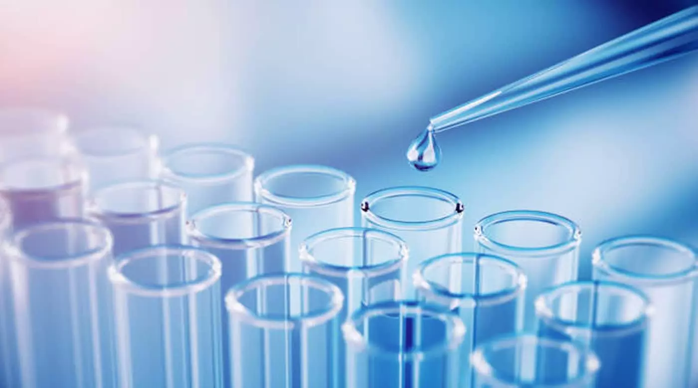 industrial evaporator